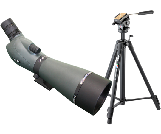 Fokus Spottingscope 20-60x60 inkl. stativ